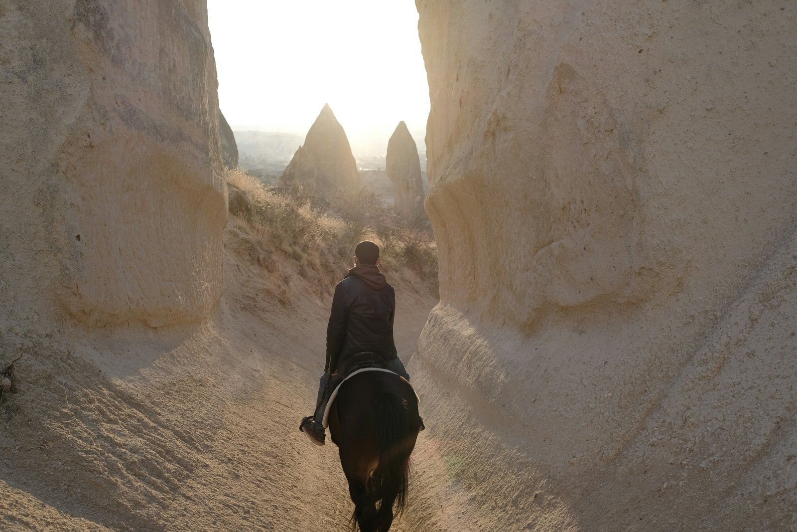 Horseback Riding